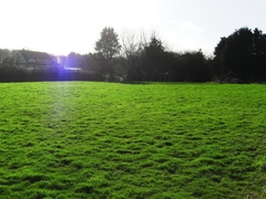 Paddock