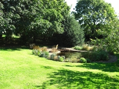 Pond